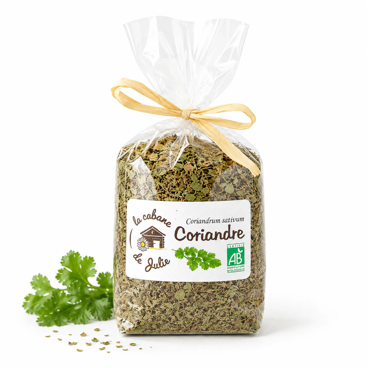Coriandre Feuille – Image 2