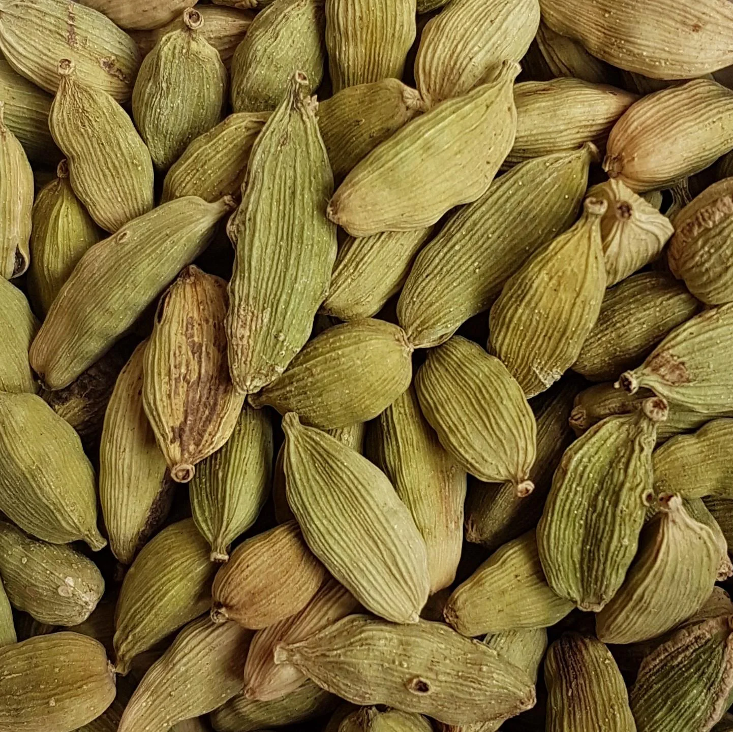Cardamome Entière