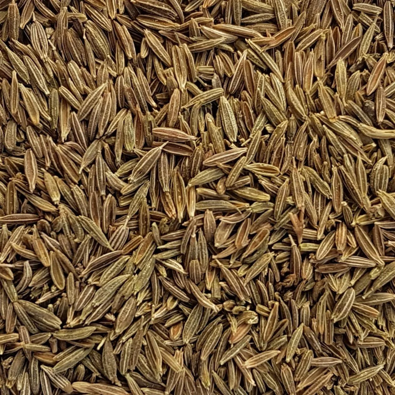 Cumin Graine