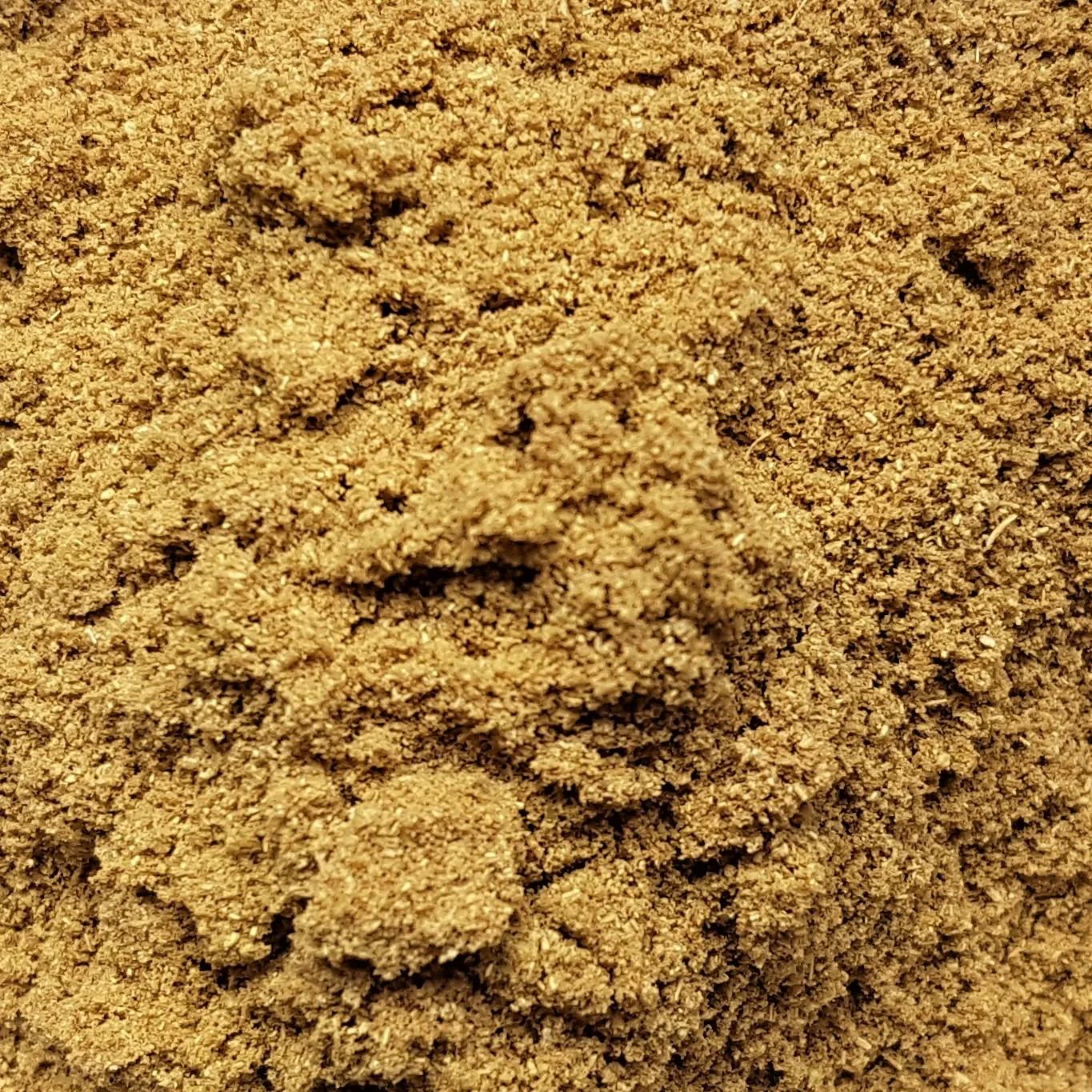 Fenouil Poudre