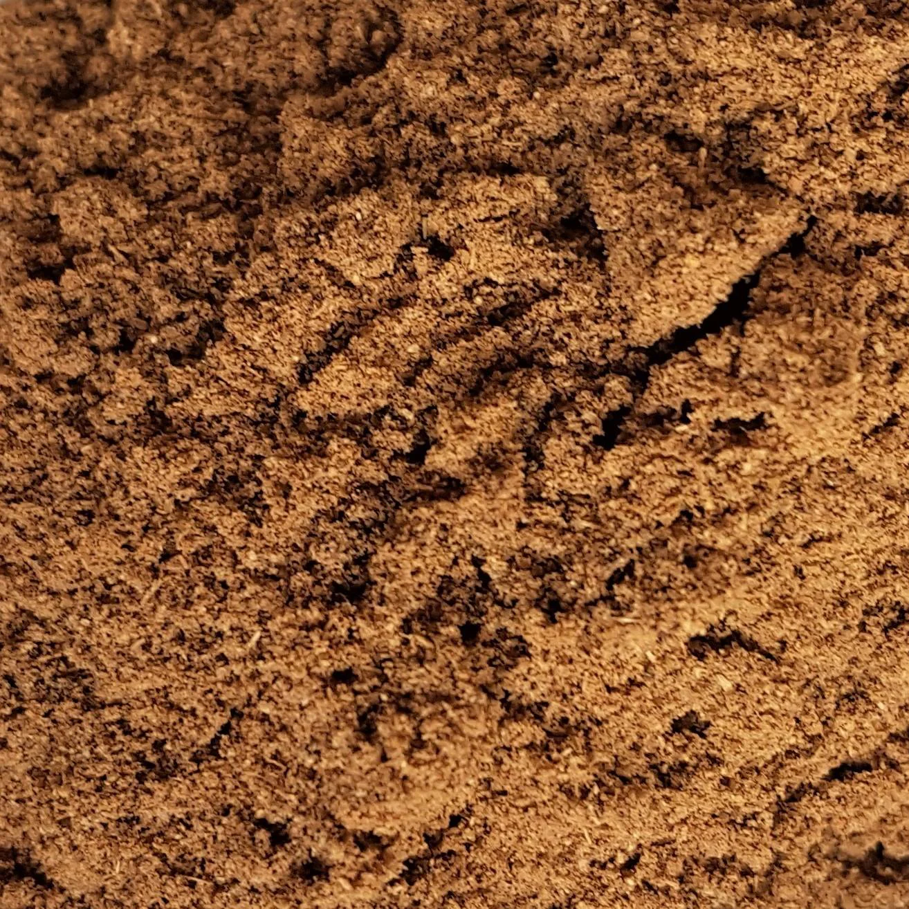 Garam Masala